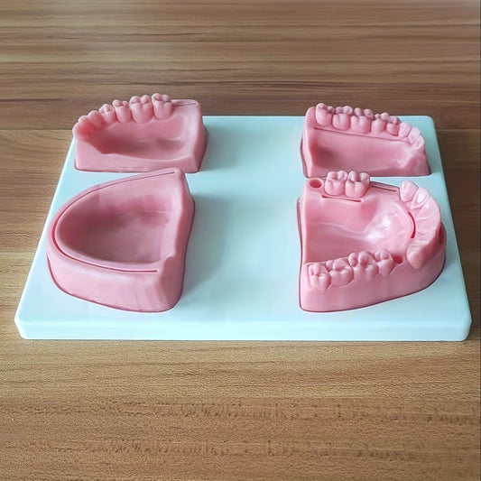 Dental Suture Practice Model With Base Teeth Module