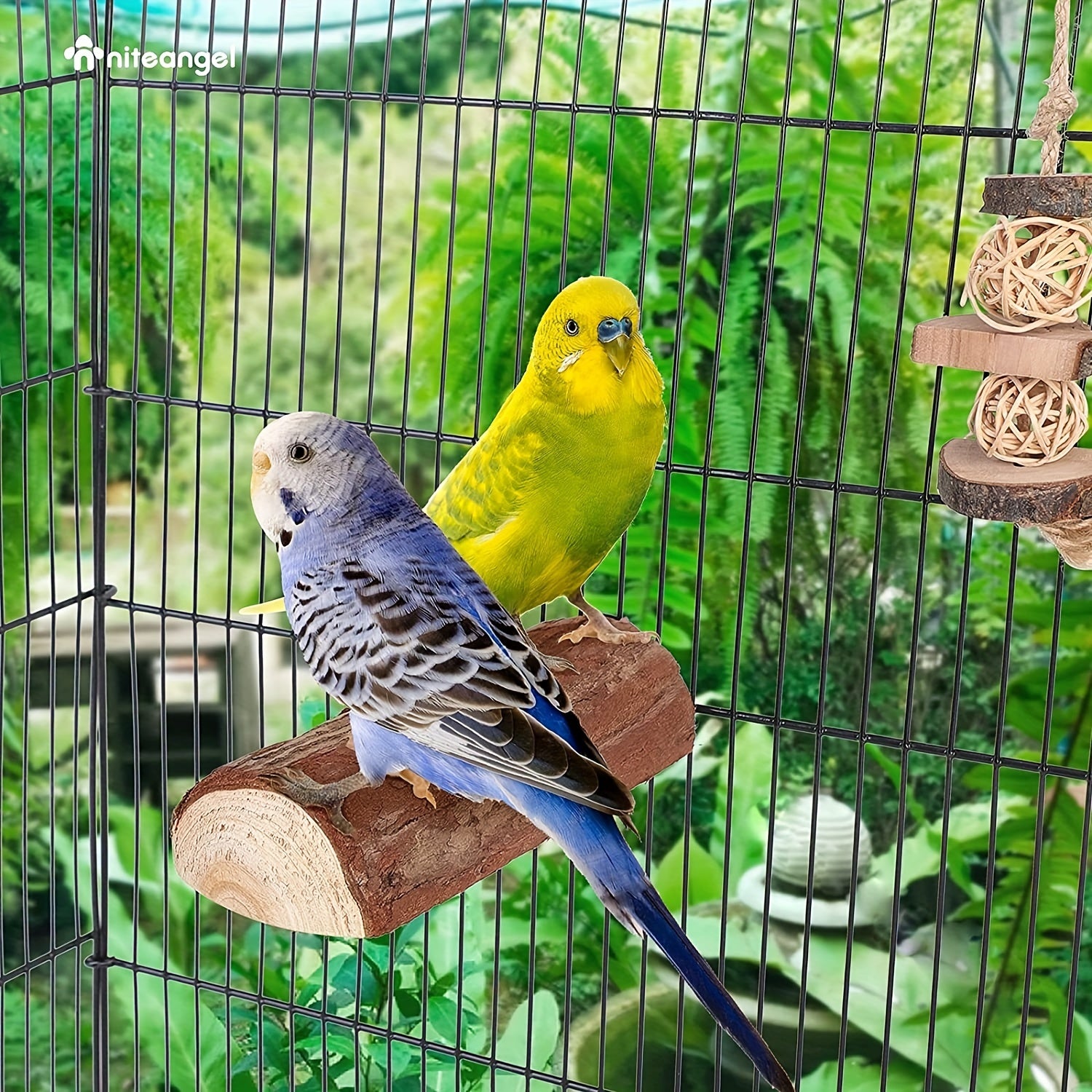 2 Pack Wooden Platform Cage Perches for Birds