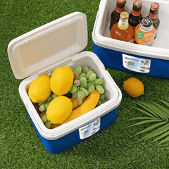 26L Plastic Insulated Cooler Box with Lid and Handle