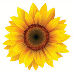 Sunflower Vinyl Waterproof Sticker Decal Car Laptop Wall Window Bumper 7