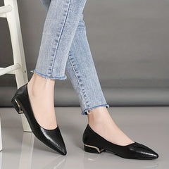Women's Pointed Toe Low Heels Soft Sole Faux Leather Shoes