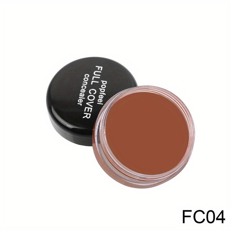 Long Lasting Liquid Foundation and Concealer - Flawless Skin - Makeup Cosmetic