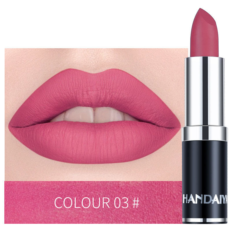 Waterproof Matte Lipstick Liquid Gloss 12 Colors