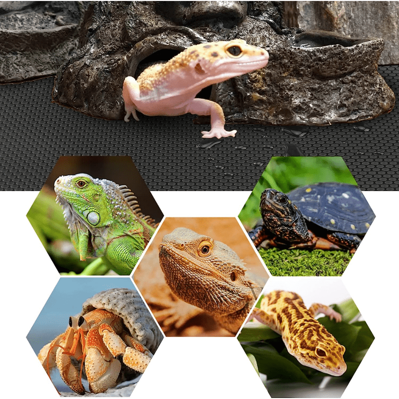 Non Adhesive Reptile Terrarium Carpet Base for Reptiles - 70 Inch