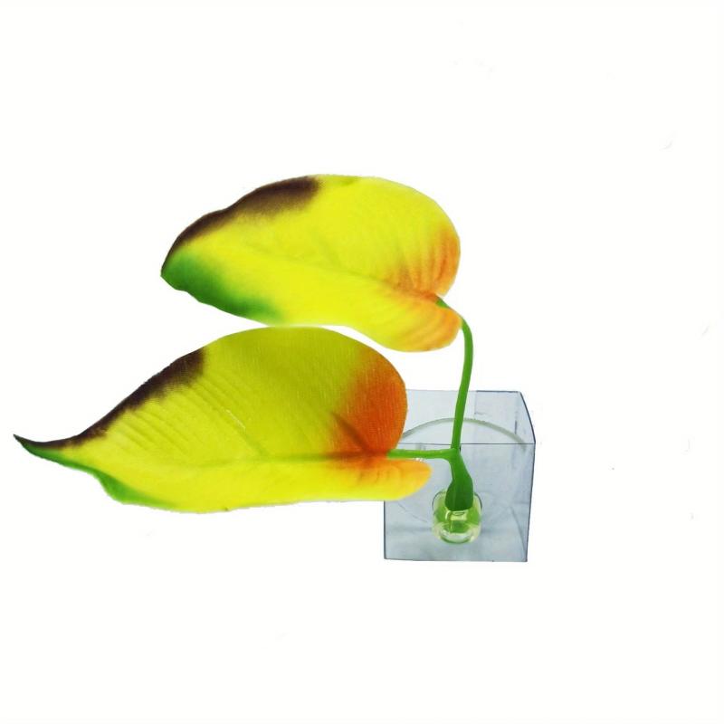 Natural Betta Fish Leaf Pad Aquarium Decor