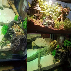 Resin Reptile Platform Tree Trunk Decor Food Water Dish