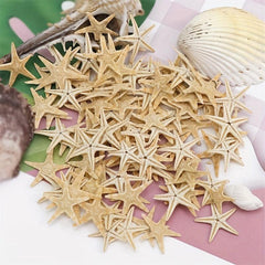 20pcs Natural Starfish Sea Shell Conch Fish Tank Decoration Ornaments