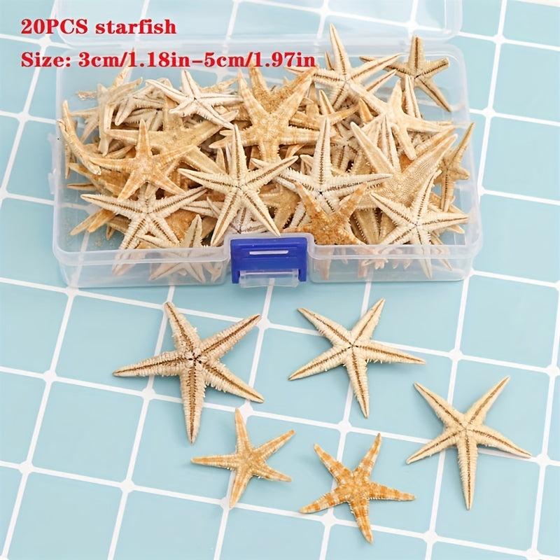 20pcs Natural Starfish Sea Shell Conch Fish Tank Decoration Ornaments