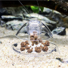 Transparent Snail Trap Aquarium Fish Tank Plants Planarian Leech Catch