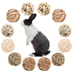 Interactive Rolling Chew Toys for Small Animals