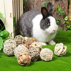 Interactive Rolling Chew Toys for Small Animals
