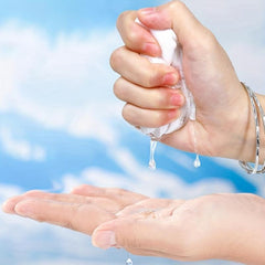 Pet Glove Cleaning Wet Wipes Deodorizing Cat Dog Stain Remover 10pcs