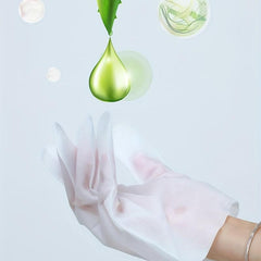 Pet Glove Cleaning Wet Wipes Deodorizing Cat Dog Stain Remover 10pcs