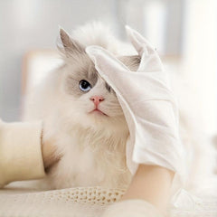 Pet Glove Cleaning Wet Wipes Deodorizing Cat Dog Stain Remover 10pcs