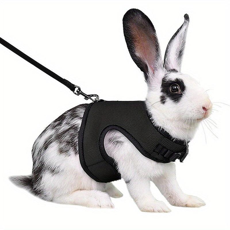Adjustable Rabbit Harness with Rope, Breathable Small Pet Leash Vest