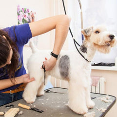 Pet Grooming Table Sling Accessory