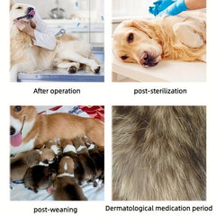 Dog Recovery Suit After Surgery, Post-Spay/Neuter Body Suit for Dogs