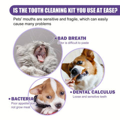 Pet Dental Wipes for Teeth Cleaning, 50pcs Box