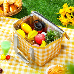 Insulated Cooler Bag Reusable Foldable Picnics Beach