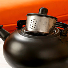 Stainless Steel Kettle with Long Strainer for Tea, Wine, Barbecue