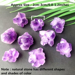 2 Natural Amethyst Flower Cluster Raw Stone Healing Crystals