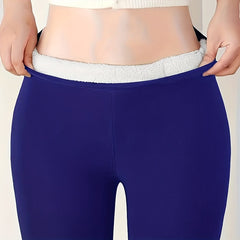 Plush Lined Opaque High Waist Thermal Leggings Women's Stockings