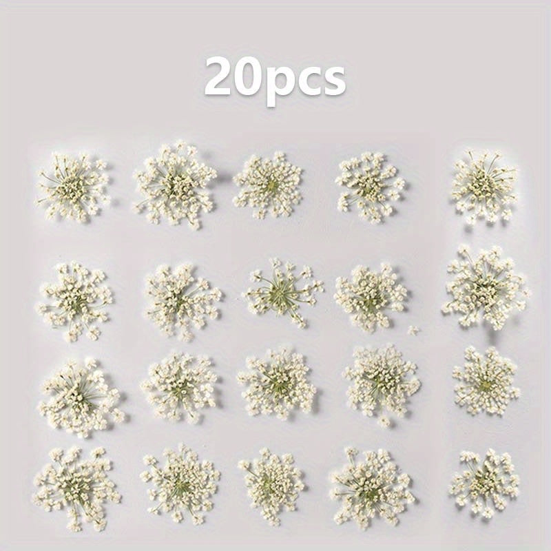 20pcs Natural Snowflake Dry Flower Embossing DIY Decorations
