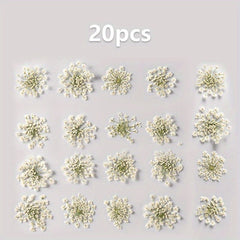 20pcs Natural Snowflake Dry Flower Embossing DIY Decorations