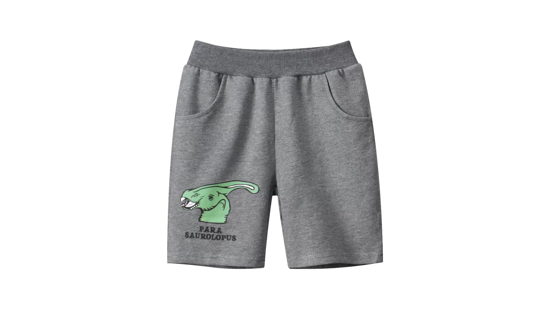 Fruitsunchen Toddler Baby Dino Shorts 2 Pack 100% Cotton Cargo Summer Shorts