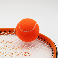 2pcs Durable Rubber Tennis Balls with Mesh Bag for Beginners Training