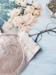 Lace Push Up Bra Scallop Trim Women's Lingerie