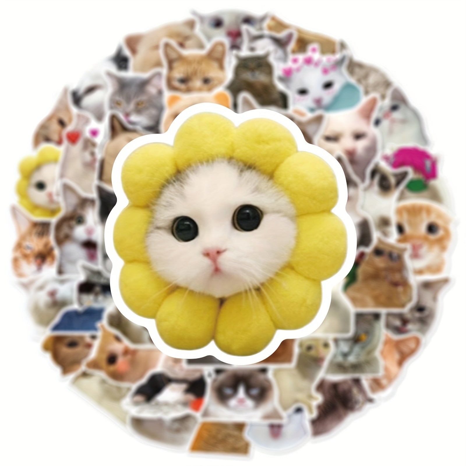 50pcs Cute Cat Graffiti Stickers for Motorcycles Laptops and More