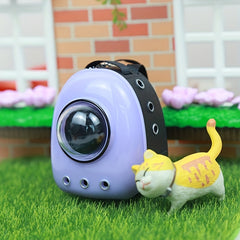 Mini Cat Bag Simulation Mini Cat Model Pet Space Bag Doll House Accessories