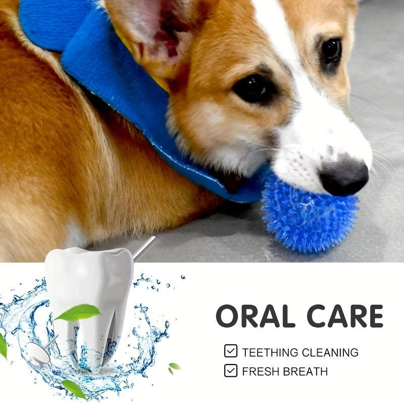 Squeaky Dog Molar Ball Toy Tough Rubber Durable Dog Teeth Cleaning Ball
