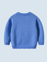 Baby Cardigan Knitted Sweater for Daily Outings Spring and Autumn