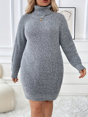  Solid Long Sleeve Turtle Neck Sweater Dress