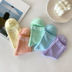 5 Pairs Comfy Solid Socks Women's Stockings & Hosiery
