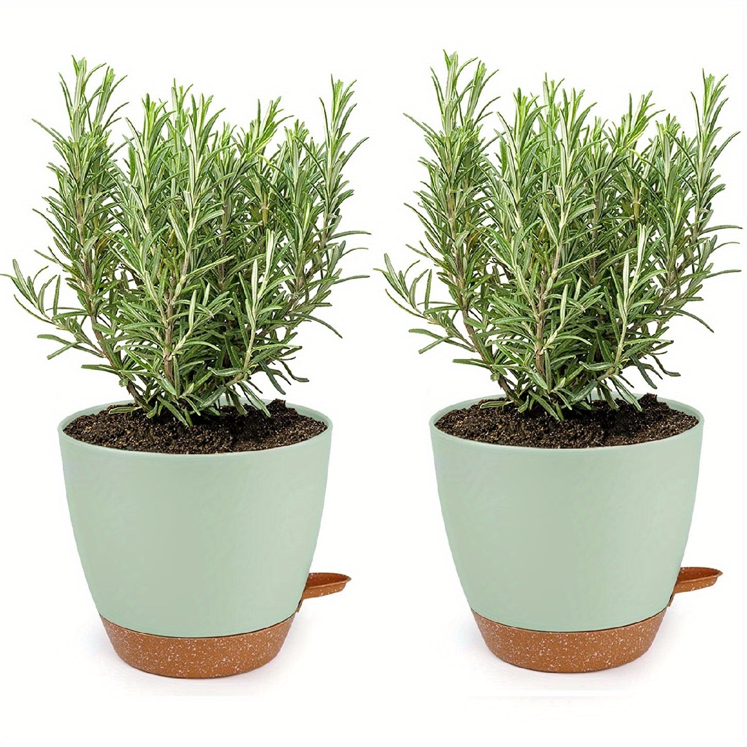 2 Self Watering Pots for Indoor Plants 20-32cm - Modern African Violet Pots
