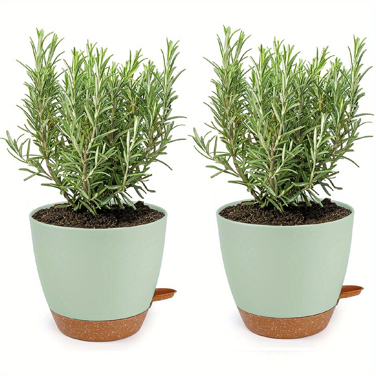 2 Self Watering Pots for Indoor Plants 20-32cm - Modern African Violet Pots
