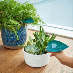 3pcs Plant Water Funnel House Plant Waterer
