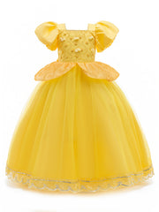 Girl's Fairy Tale Character Cosplay Costume Embroidered Puff Sleeve Mesh Dress
