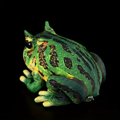 JACKCAT 15 Simulated Horned Frog Plush Toy Soft Stuffed Animal