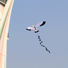 3D Seagull Kite Weifang Kite 55in