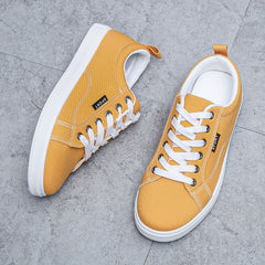 Men's Canvas Skate Shoes Casual Outdoor Walking Sneakers