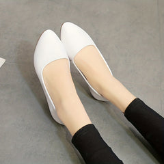 Pointed Toe Ballet Flats Soft Sole Non Slip Shoes