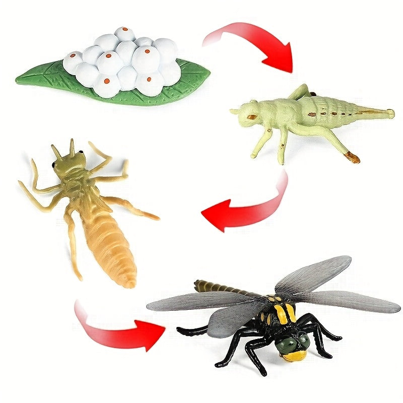 Simulated Insects Dragonflies Growth Cycle Full Set of Models