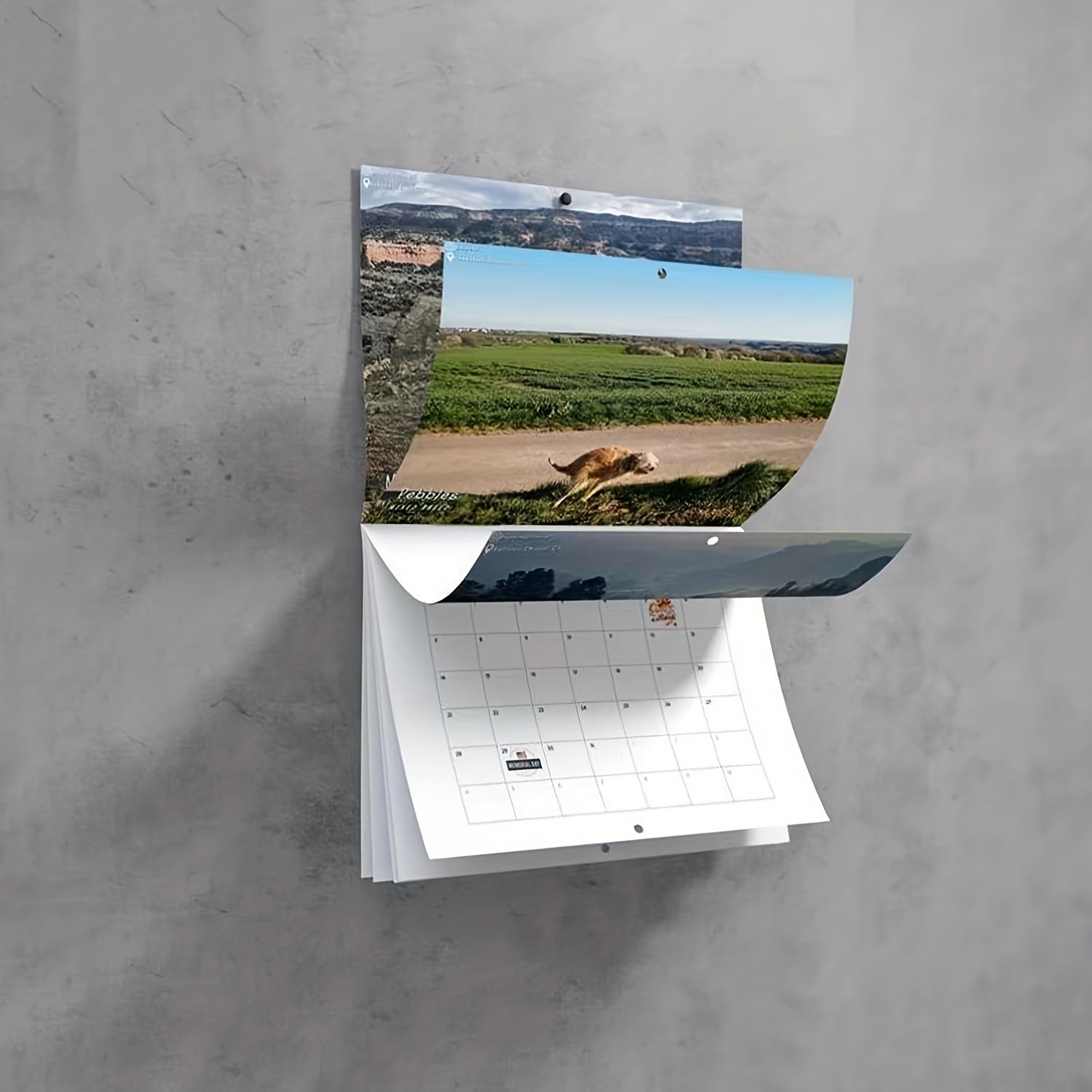 Dog Poop Wall Calendar Funny Gag Gift Hangable Monthly Wall Calendar