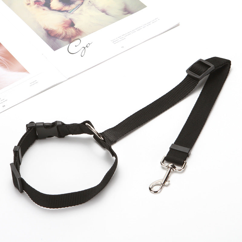 Pet Car Seat Belt and Leash for Safe Travel with Your Dog or Cat