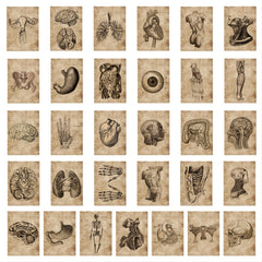 56pcs Creative Non-attribute Small Ticket Series Waterproof Stickers