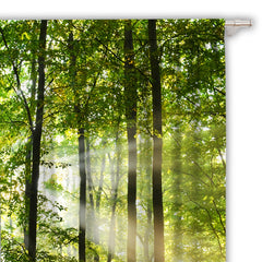 Enchanted Forest Curtains - Sunshine Scene Window Drapes